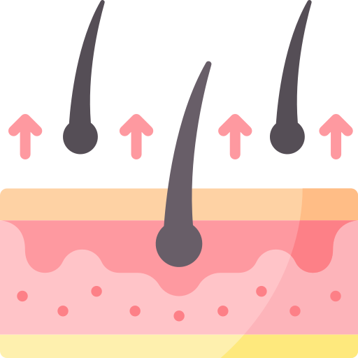 Elimina el pelo suelto